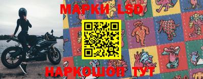 индика Ставрополь