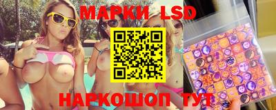 индика Ставрополь