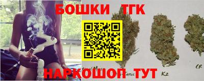 индика Ставрополь