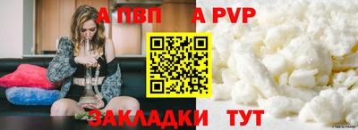 индика Ставрополь